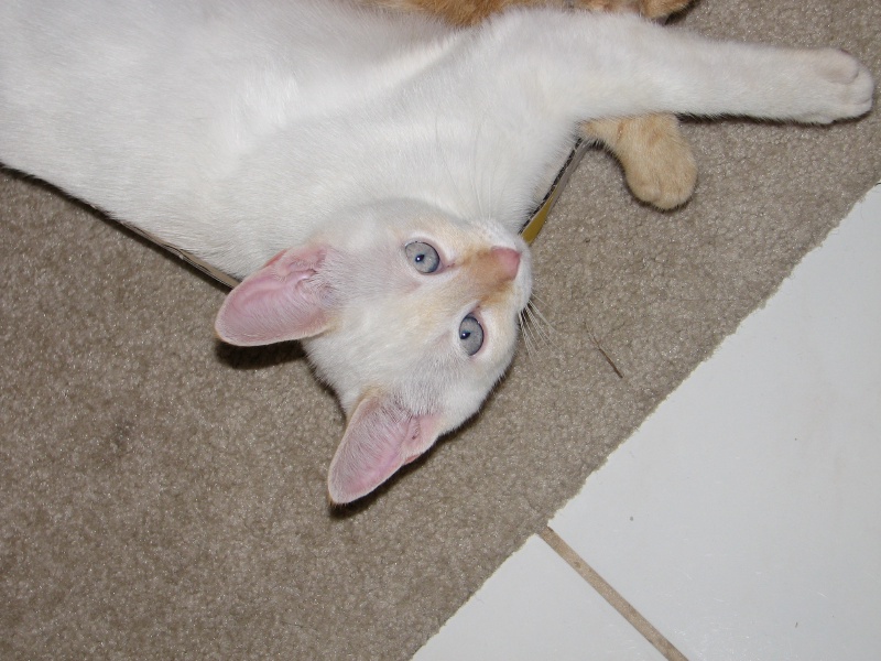 2009/10(October)/Misc/800x600_20100206 588.JPG